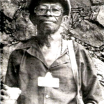 Mestre Cobrinha Verde