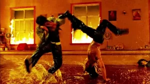 Capoeira vs Muay Thai